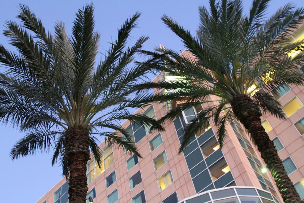 Moody Gardens Hotel Spa And Convention Center Galveston Dış mekan fotoğraf