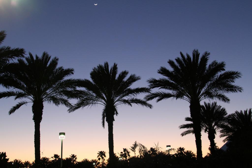 Moody Gardens Hotel Spa And Convention Center Galveston Dış mekan fotoğraf